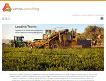 Tablet Screenshot of levisayconsulting.com